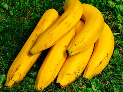 About of Banana Logistics 