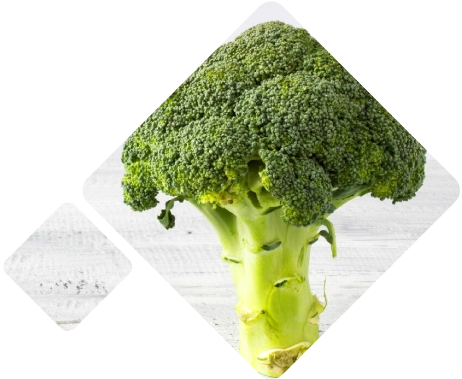 Broccoli Logistics 