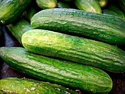 About of Cucumber Logistics 