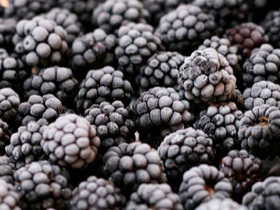 Export of Frozen Blackberries