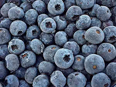 Export of Peruvian Frozen Blueberries
