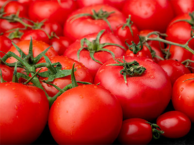 About of Tomato Logistics 