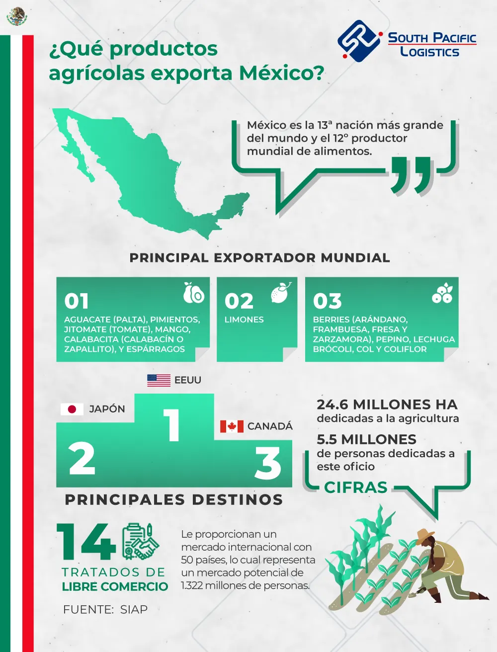 Infografia sobre productos agricolas que exporta Mexico
