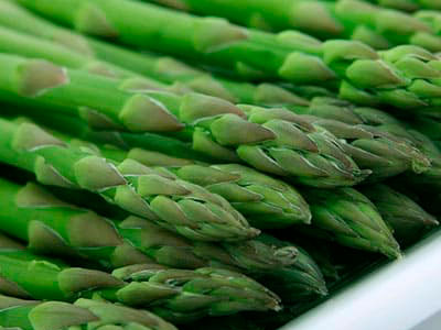Export of Mexican Asparagus
