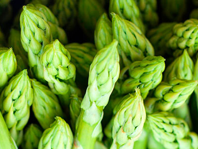 About of Asparagus Logistics Peru