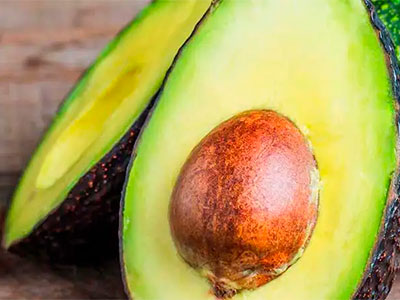 About of Avocado Logistics 