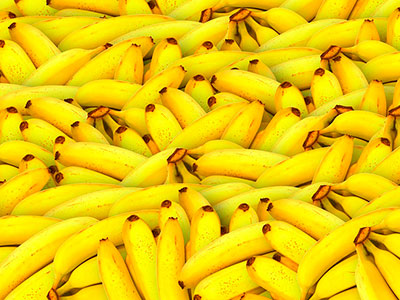 Export of Mexican Bananas