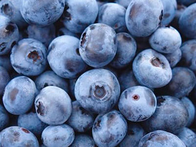 Export of Chilean Blueberries
