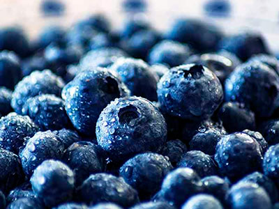 About of Blueberries Logistics Peru