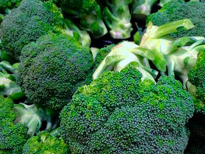 Export of Mexican Broccoli