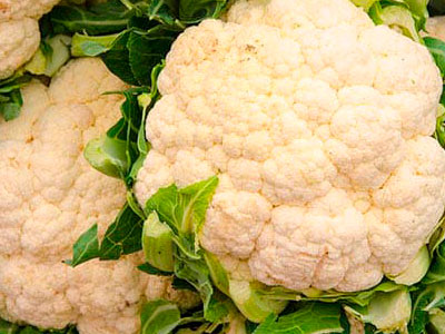 Export of Mexican Cauliflower