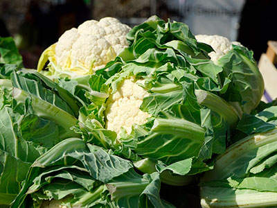 About of Cauliflower Logistics 