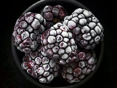 Vista de Frozen blackberries Logistics Chile