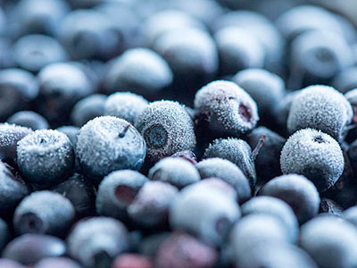 Vista de Frozen blueberries Logistics Peru