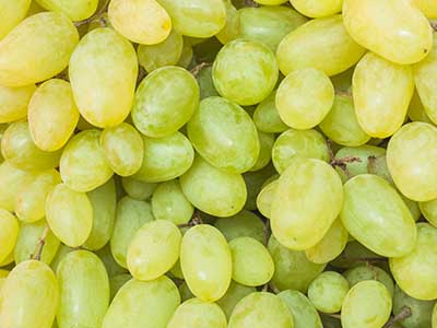 Export of Mexican Grapes