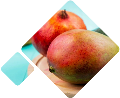 Mango<br>congelado Logistica Perú