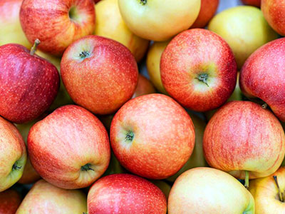 Exportación de Manzanas Chilenas