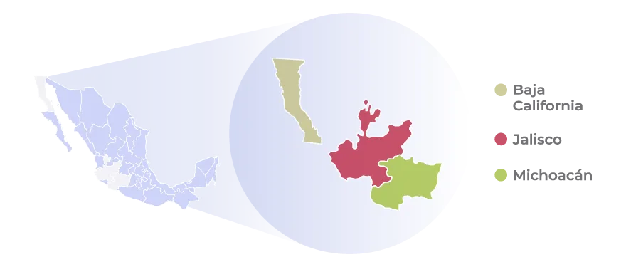 Entidades productoras de Zarzamoras Logistica México