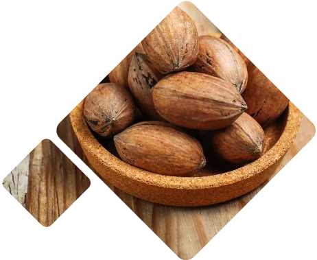 Nuts Logistics Mexico