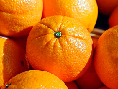 Export of Chilean Oranges