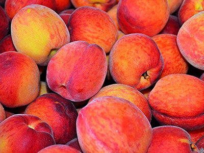 Export of Chilean Peaches