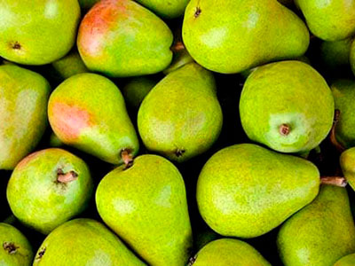 Export of Chilean Pears