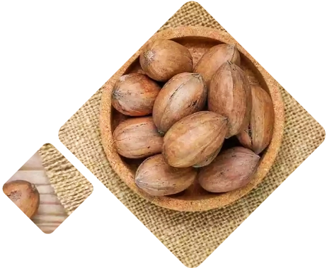 Nuts Logistics Peru