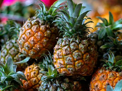 Export of Mexican Pineapple