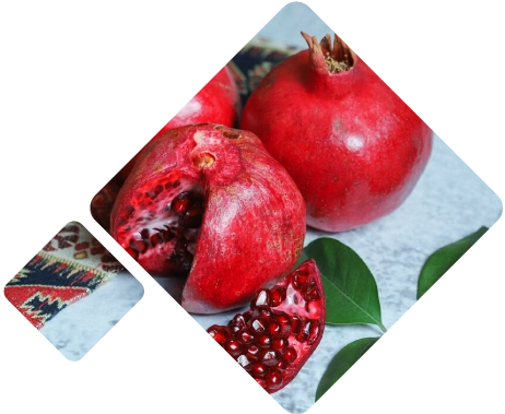Pomegranates Logistics Peru