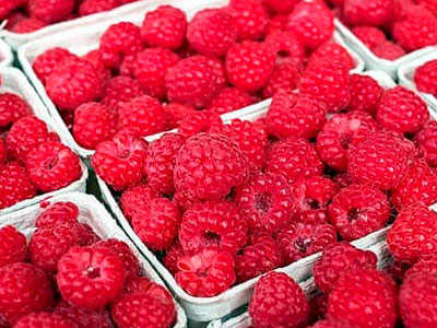 Export of Mexican Raspberry