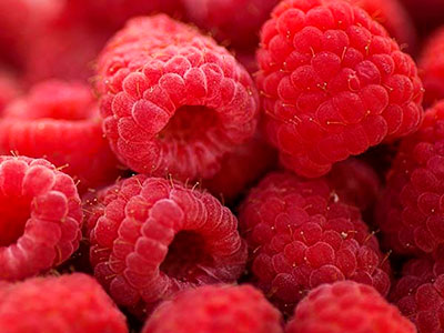 About of Raspberry Logistics 