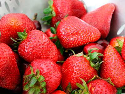 Export of Mexican Strawberries