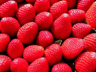 About of Strawberries Logistics 