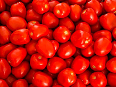 Export of Mexican Tomato