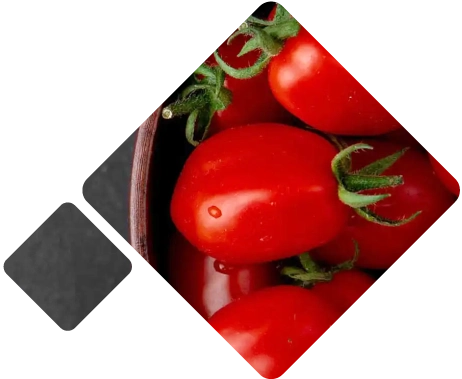 Tomato Logistics Mexico